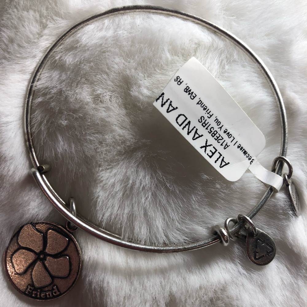 Alex and Ani friend bracelet